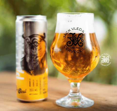 6 Pack Dr. Ooul Pale Ale 355 ml